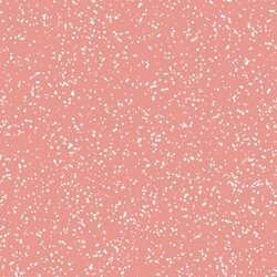 Stardust in Tulip