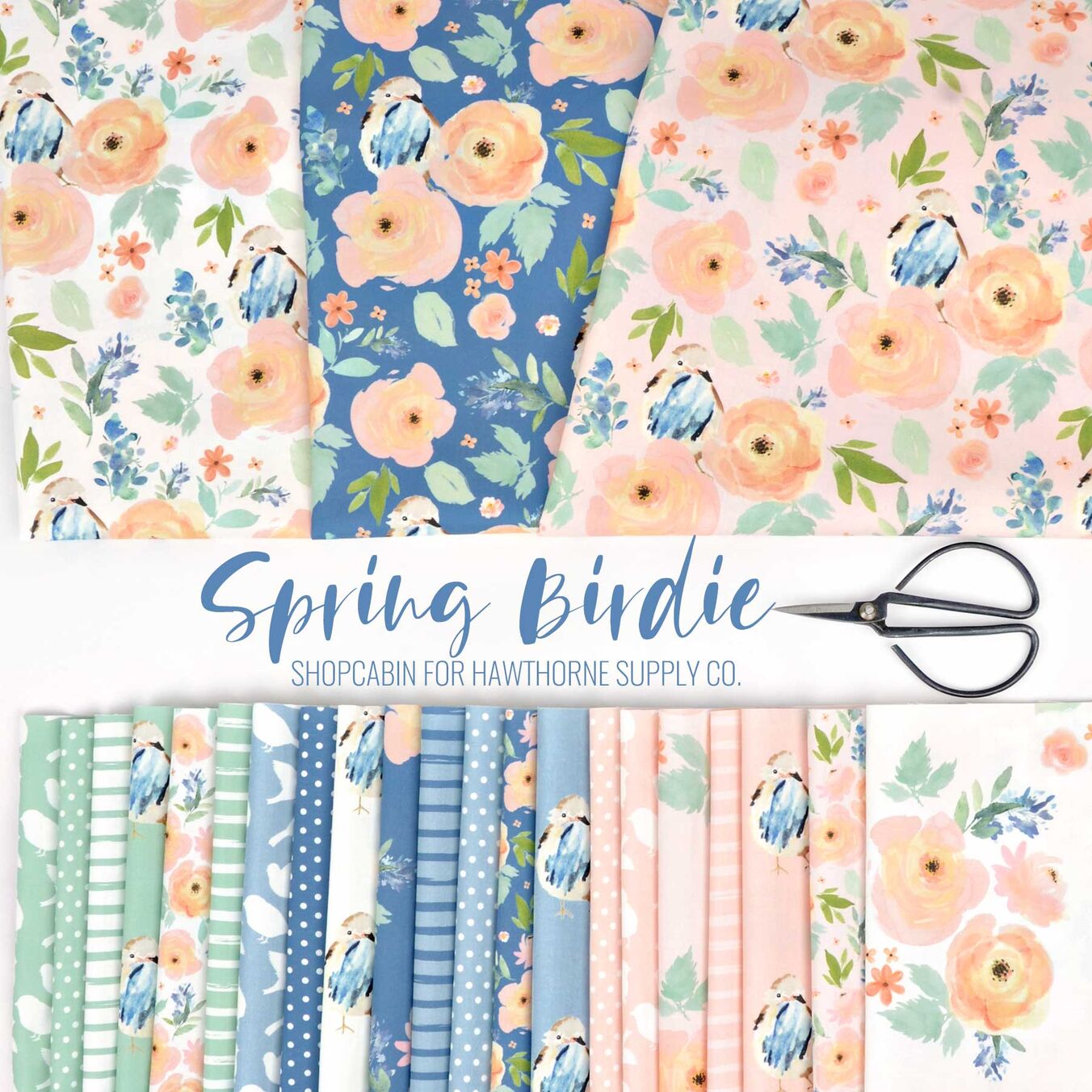 Spring Birdie Poster Image