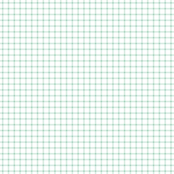 Little Summer Gingham Check in Sweet Mint