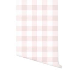 Gingham in Blush