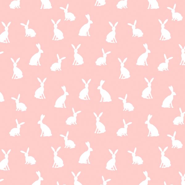 Little Cottontail in Blooming