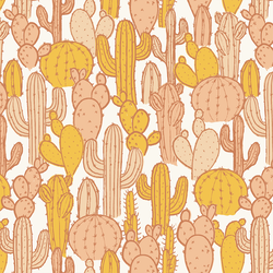 Cactus Patch in Sunshine