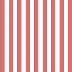 Candy Stripe in Poppy