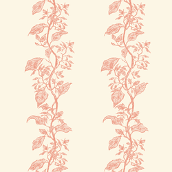 Romance Vine in Alabaster