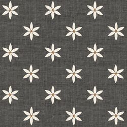 Star Flowers in Coal