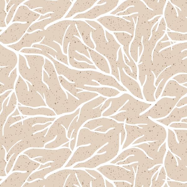 Woodland Branches in Birch