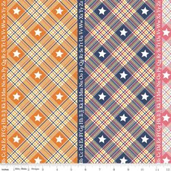 Star Plaid in Multi