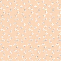 Pretty Maids in Apricot