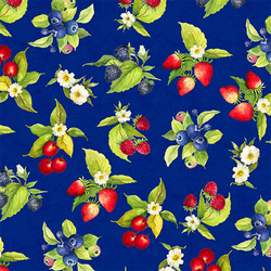 Fruit Toss in Navy