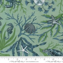 Coastal All Over in Aqua