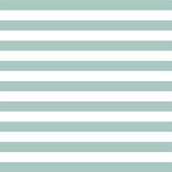 Horizontal Candy Stripe in Aspen