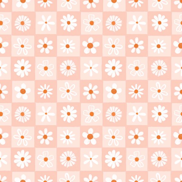 Daisies in Peachy