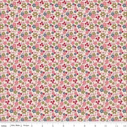 Daisy in Coral