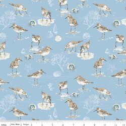 Birds in Blue