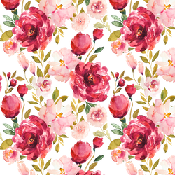 Peonies in Cranberry