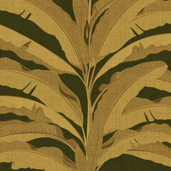 Large Palm in Lush Green