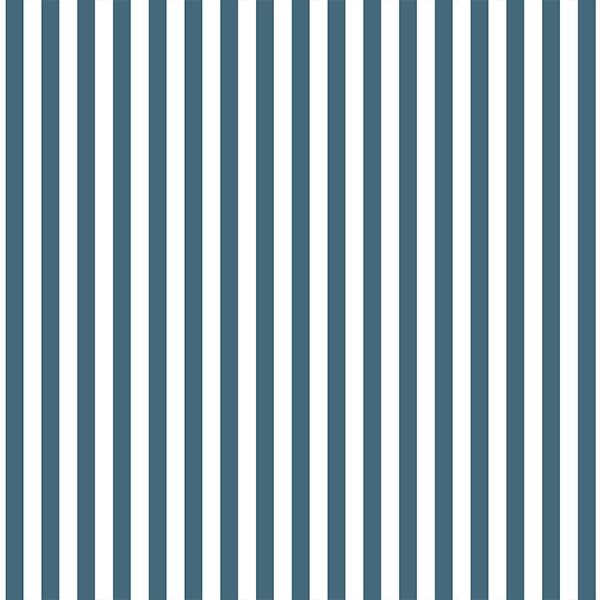 Dress Stripe in Lake