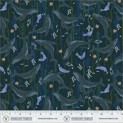 Headwaters in Navy