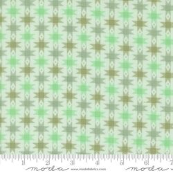 Ribbon Stars in Aqua