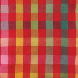 Small Plaid in Ruby Rainbow