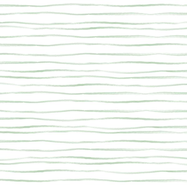 Sussex Stripe in Mint on White