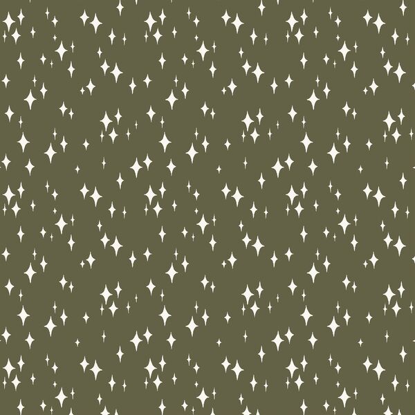 Starry Night in Forest