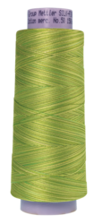 Little Spouts (9090-9817) - Silk Finish Cotton Multi 50wt - 1500 Yards
