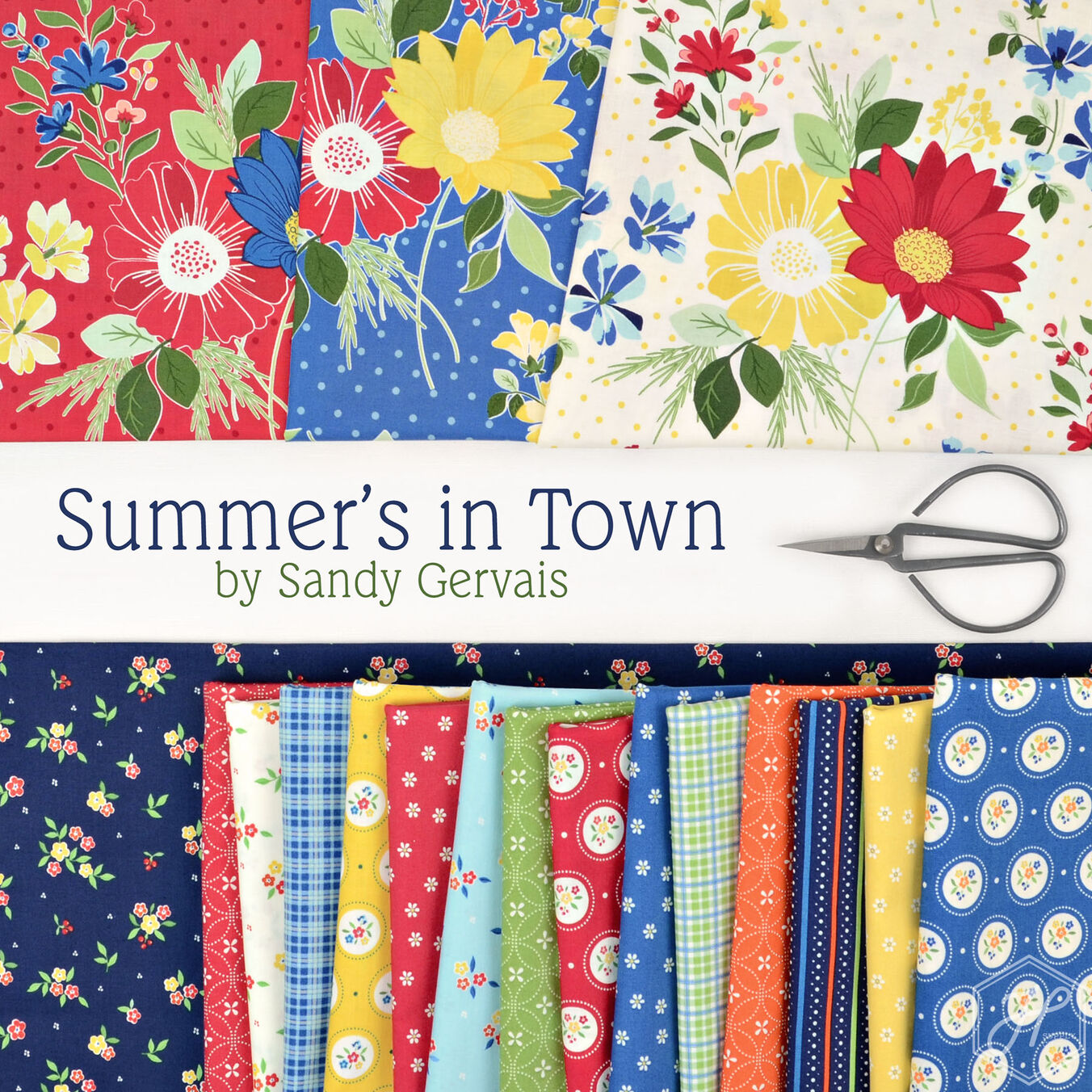 Summer's In Town Poster Image