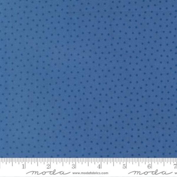 Starlight in Dark Blue