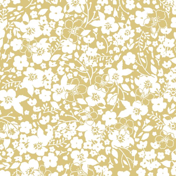 Forget Me Not in Honey