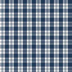 Little Spring Plaid in Navy
