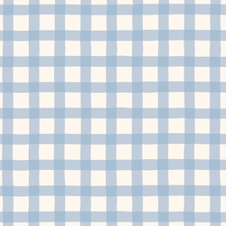 Gingham in Baby Blue