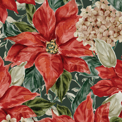 Large Poinsettia Bloom in Evergreen
