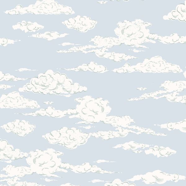 Open Sky in Wind