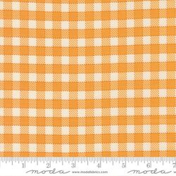 Baby Check in Orange