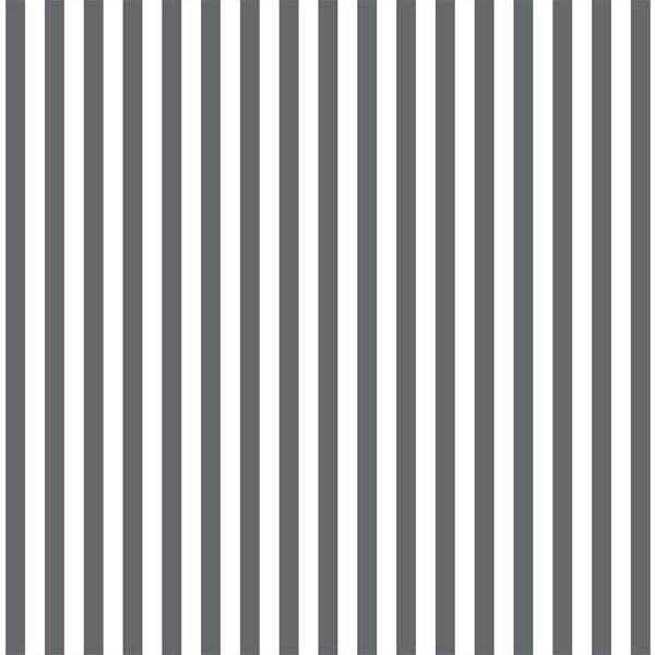 Dress Stripe in Charcoal