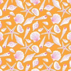 Sea Shells in Summer