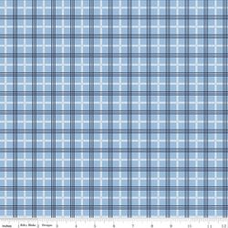 Plaid in Blue