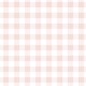 Gingham in Blush