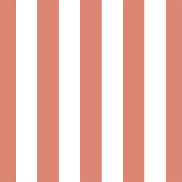 Play Stripe in Desert Rose