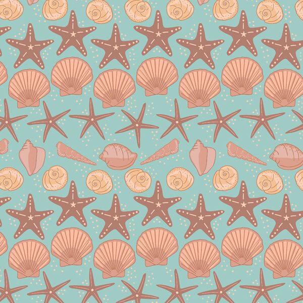 Shell Collection in Surf