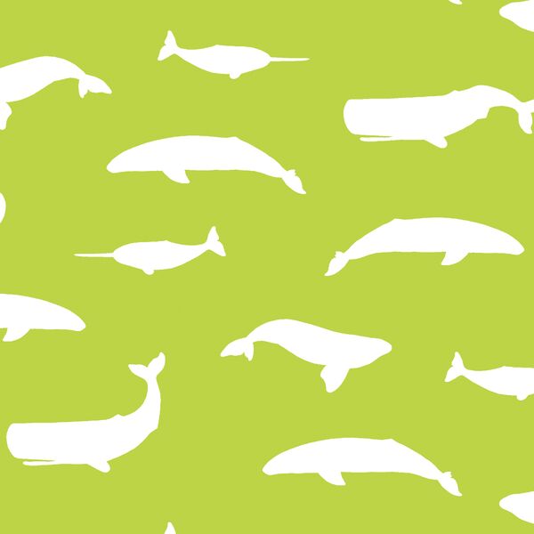 Whale Silhouette in Lime