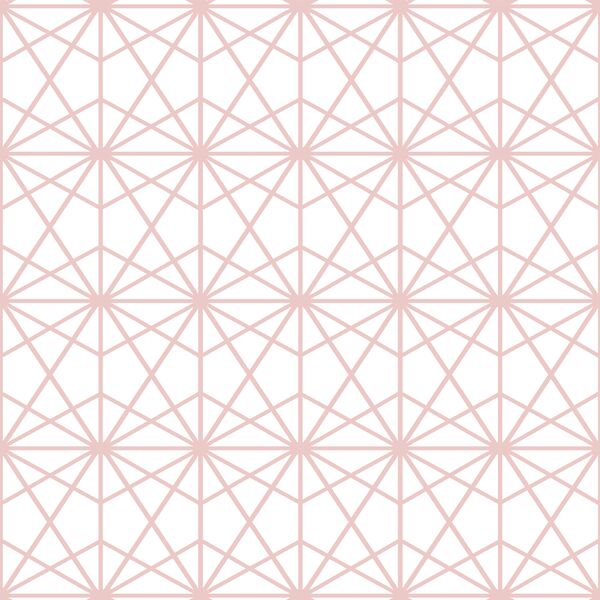 Terrarium in Blush on White