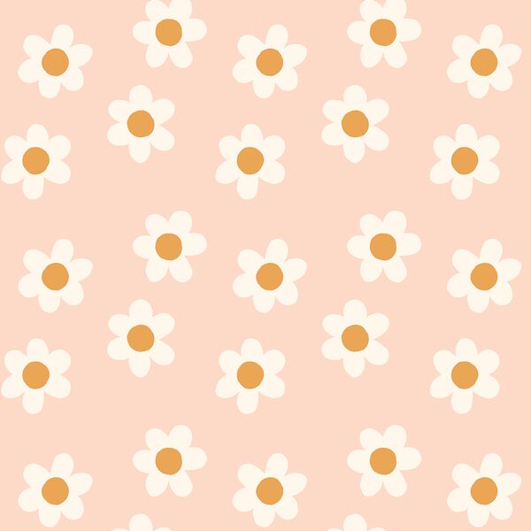 Daisy in Blush
