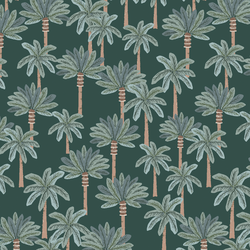 Prehistoric Forest in Cycad
