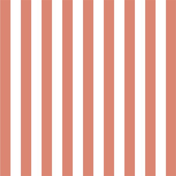 Candy Stripe in Desert Rose