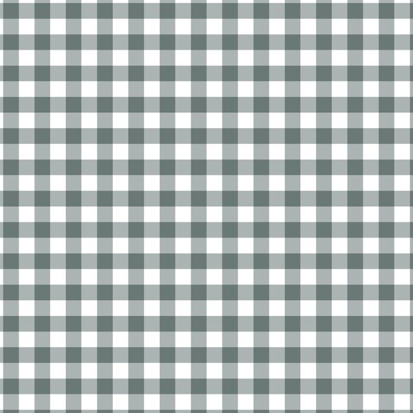 Gingham in Autumn Blue