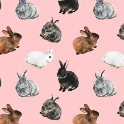 Spring Bunnies in Rosebud