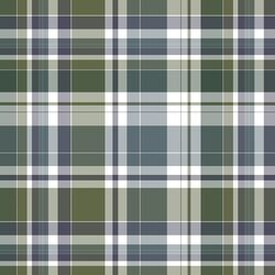 Mountain Plaid in Forest