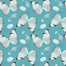 Forest Butterflies in Stream